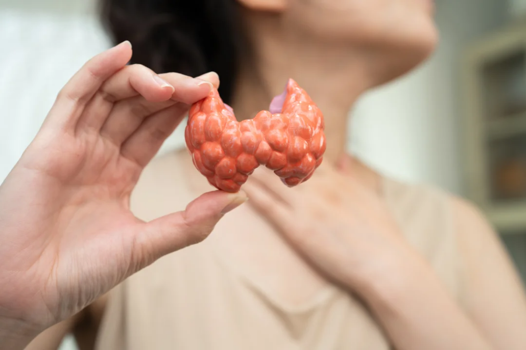 thyroid functional medicine