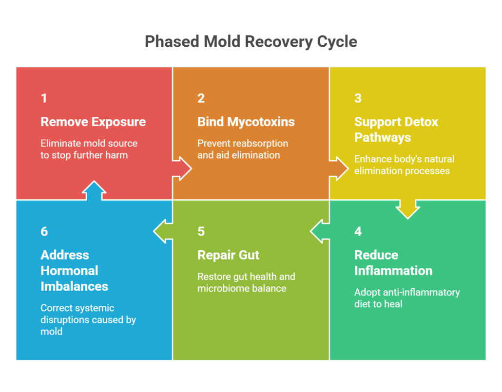 Phased Mold Recovery Cycle
