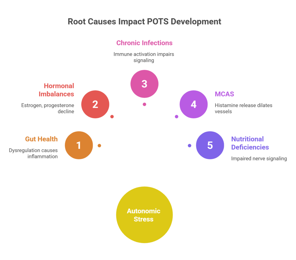 Root Causes Impact POTS Development
