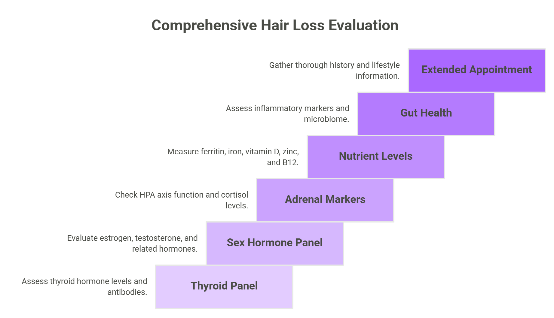 How We Test for Hair Loss at Vibrant Health of Colorado