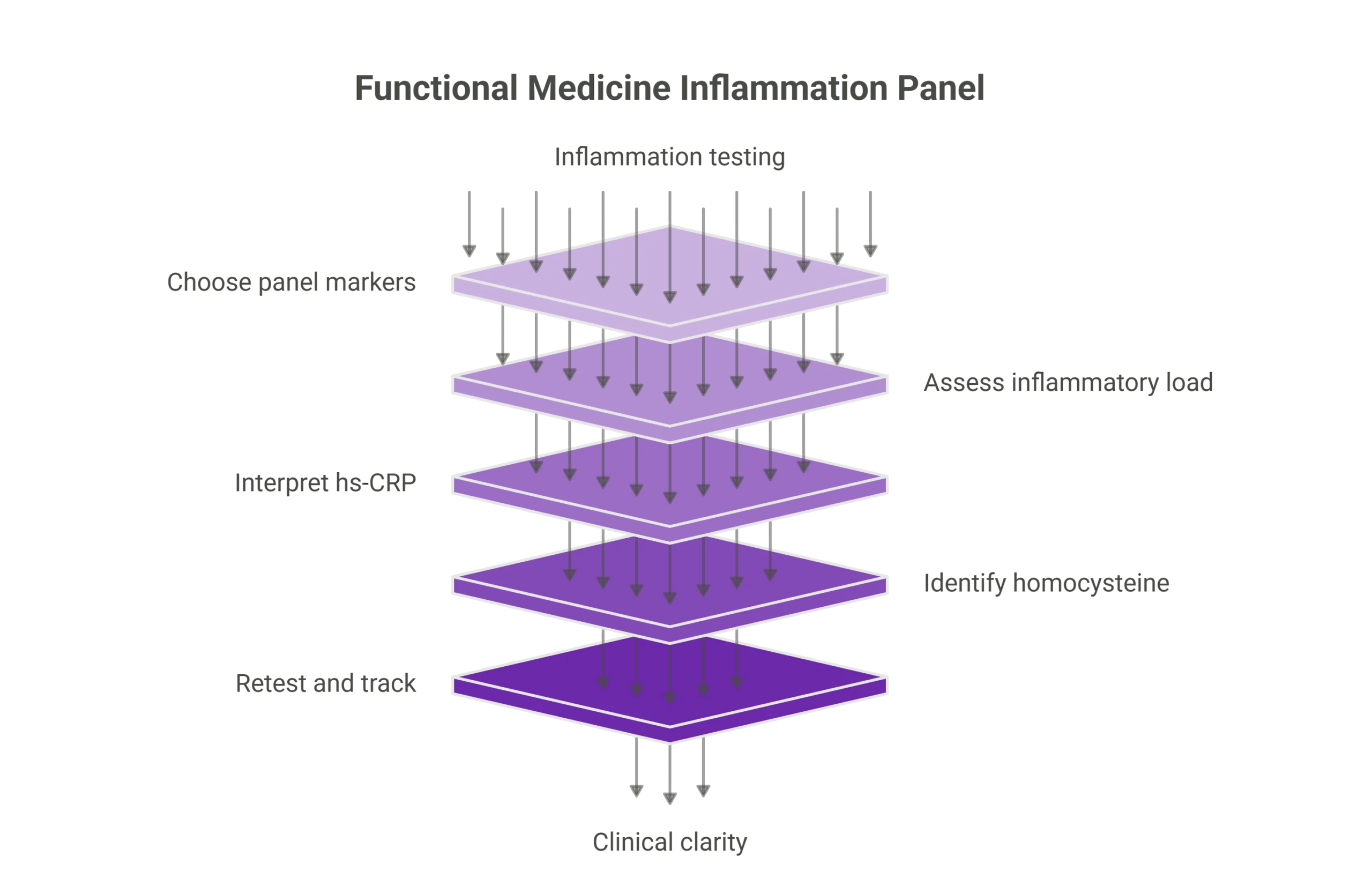 The Functional Medicine Inflammation Panel What We Test at Vibrant Health